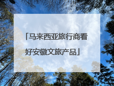 马来西亚旅行商看好安徽文旅产品