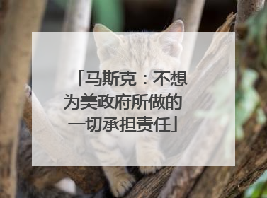马斯克：不想为美政府所做的一切承担责任