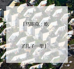 马斯克：吃了儿子一拳