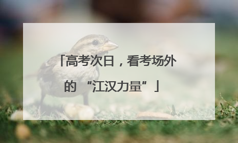 高考次日，看考场外的 “江汉力量”