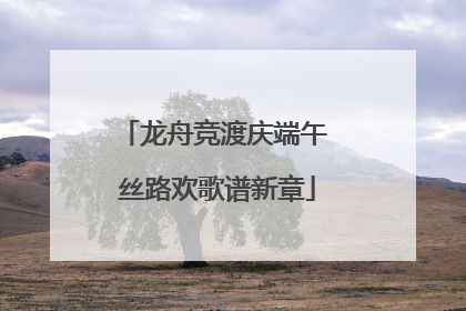龙舟竞渡庆端午 丝路欢歌谱新章