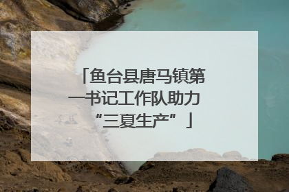 鱼台县唐马镇第一书记工作队助力“三夏生产”