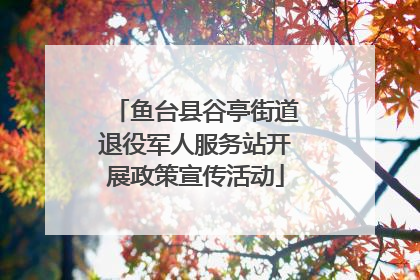 鱼台县谷亭街道退役军人服务站开展政策宣传活动