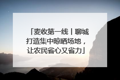 麦收第一线丨聊城打造集中晾晒场地，让农民省心又省力