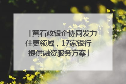 黄石政银企协同发力住更领域，17家银行提供融资服务方案