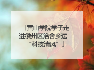 黄山学院学子走进徽州区洽舍乡送“科技清风”