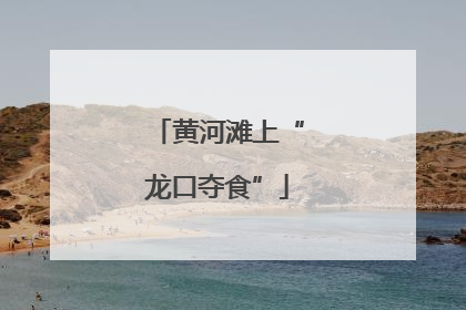 黄河滩上“龙口夺食”