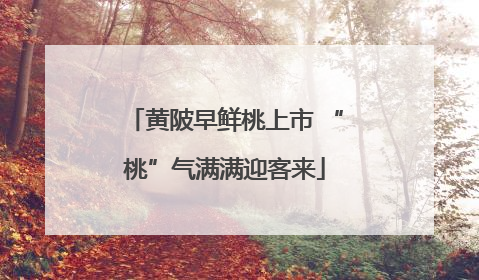 黄陂早鲜桃上市 “桃”气满满迎客来