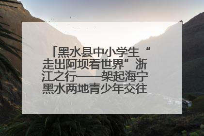 黑水县中小学生“走出阿坝看世界”浙江之行——架起海宁黑水两地青少年交往交流交融新桥梁