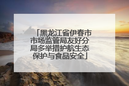 黑龙江省伊春市市场监管局友好分局多举措护航生态保护与食品安全