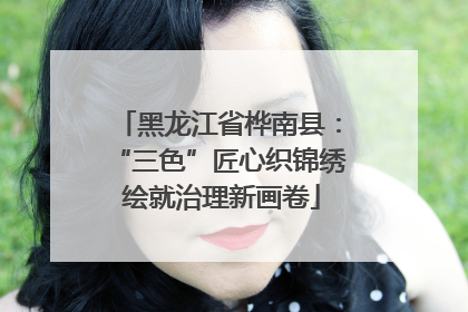 黑龙江省桦南县：“三色”匠心织锦绣 绘就治理新画卷