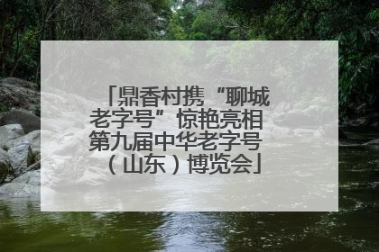 鼎香村携“聊城老字号”惊艳亮相第九届中华老字号（山东）博览会