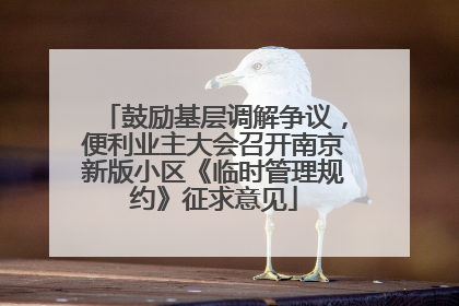 鼓励基层调解争议，便利业主大会召开南京新版小区《临时管理规约》征求意见