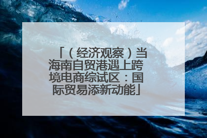 （经济观察）当海南自贸港遇上跨境电商综试区：国际贸易添新动能