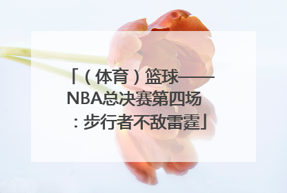 （体育）篮球——NBA总决赛第四场：步行者不敌雷霆