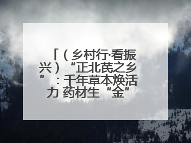 （乡村行·看振兴）“正北芪之乡”：千年草本焕活力 药材生“金”富农家