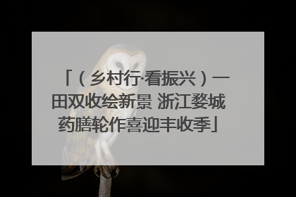 （乡村行·看振兴）一田双收绘新景 浙江婺城药膳轮作喜迎丰收季