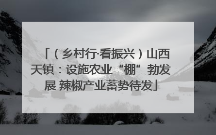 （乡村行·看振兴）山西天镇：设施农业“棚”勃发展 辣椒产业蓄势待发