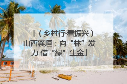 （乡村行·看振兴）山西襄垣：向“林”发力 借“绿”生金