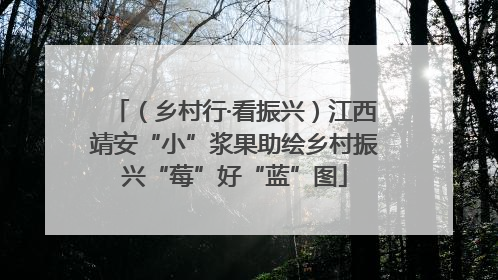 （乡村行·看振兴）江西靖安“小”浆果助绘乡村振兴“莓”好“蓝”图