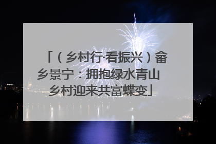 （乡村行·看振兴）畲乡景宁：拥抱绿水青山 乡村迎来共富蝶变