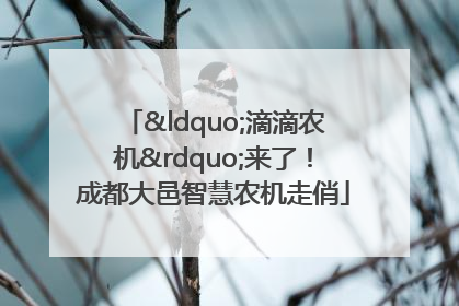 “滴滴农机”来了！成都大邑智慧农机走俏