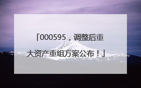 000595，调整后重大资产重组方案公布！