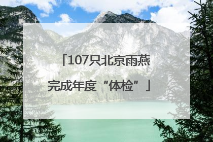 107只北京雨燕完成年度“体检”