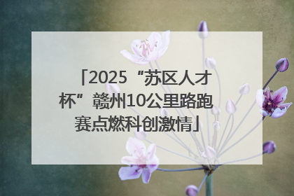 2025“苏区人才杯”赣州10公里路跑赛点燃科创激情