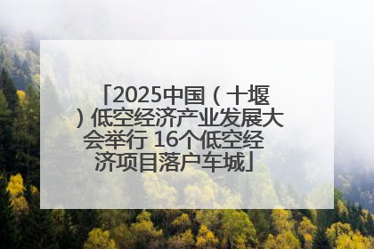 2025中国（十堰）低空经济产业发展大会举行 16个低空经济项目落户车城