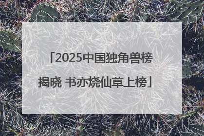 2025中国独角兽榜揭晓 书亦烧仙草上榜