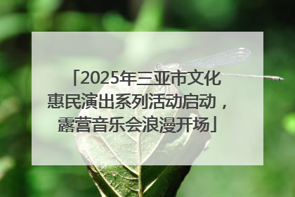 2025年三亚市文化惠民演出系列活动启动，露营音乐会浪漫开场