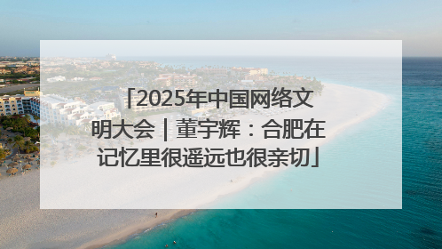 2025年中国网络文明大会｜董宇辉：合肥在记忆里很遥远也很亲切