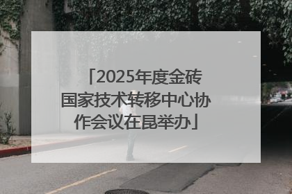 2025年度金砖国家技术转移中心协作会议在昆举办
