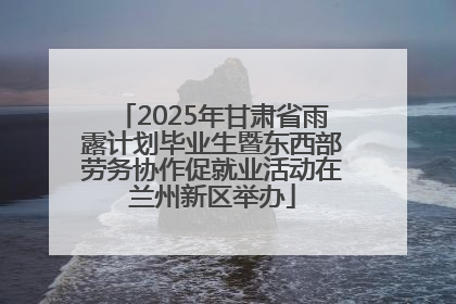 2025年甘肃省雨露计划毕业生暨东西部劳务协作促就业活动在兰州新区举办