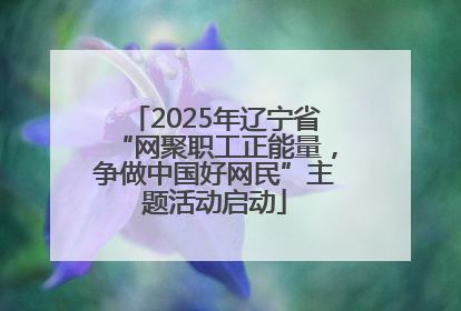 2025年辽宁省“网聚职工正能量，争做中国好网民”主题活动启动