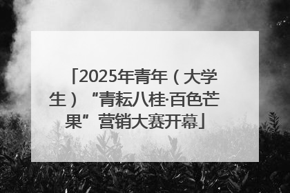 2025年青年（大学生）“青耘八桂·百色芒果”营销大赛开幕