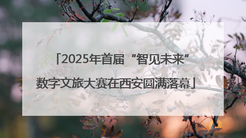 2025年首届“智见未来”数字文旅大赛在西安圆满落幕