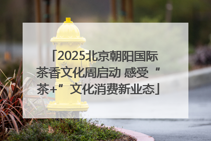2025北京朝阳国际茶香文化周启动 感受“茶+”文化消费新业态