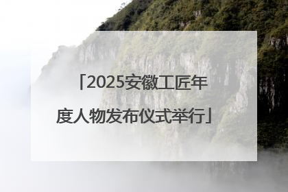 2025安徽工匠年度人物发布仪式举行