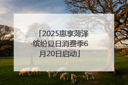 2025惠享菏泽·缤纷夏日消费季6月20日启动