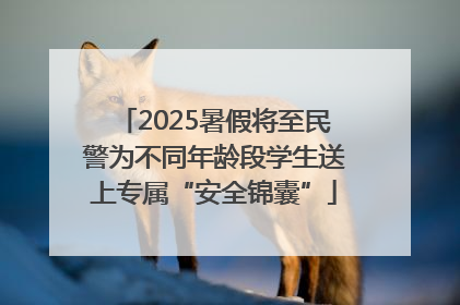 2025暑假将至民警为不同年龄段学生送上专属“安全锦囊”