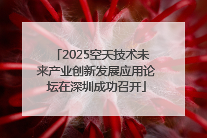 2025空天技术未来产业创新发展应用论坛在深圳成功召开