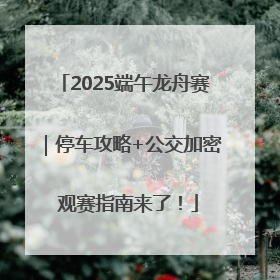 2025端午龙舟赛｜停车攻略+公交加密 观赛指南来了！