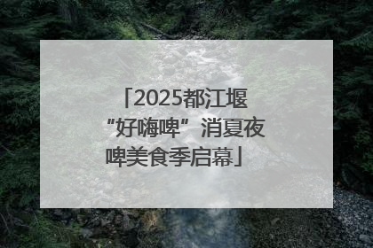2025都江堰“好嗨啤”消夏夜啤美食季启幕