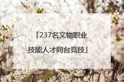 237名文物职业技能人才同台竞技