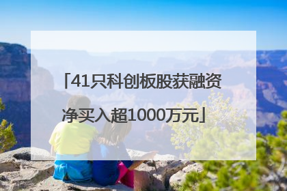 41只科创板股获融资净买入超1000万元