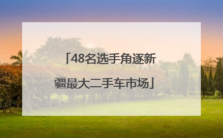 48名选手角逐新疆最大二手车市场