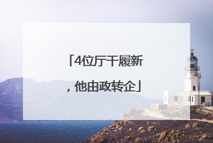 4位厅干履新，他由政转企
