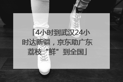 4小时到武汉24小时达新疆，京东助广东荔枝“鲜”到全国